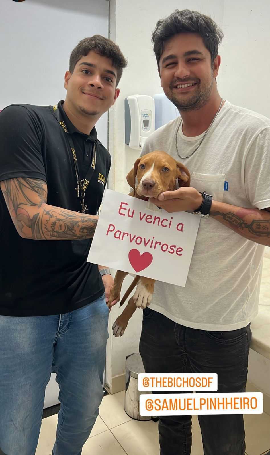 Foto da Galeria